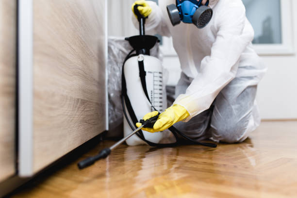 Best Insect Control  in Williamston, NC