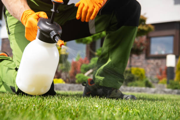 Best Cockroach Control Services  in Williamston, NC