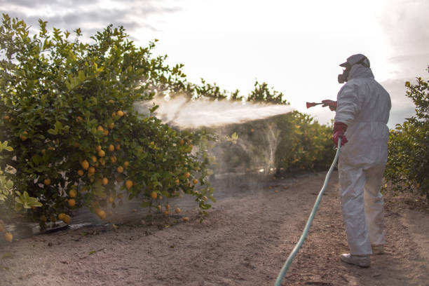 Best Emergency Pest Control  in Williamston, NC