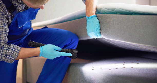 Best Best Pest Control Companies  in Williamston, NC