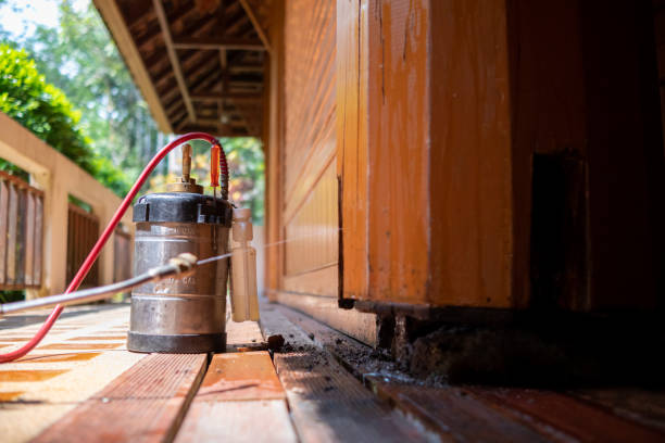 Best Commercial Pest Control Services  in Williamston, NC
