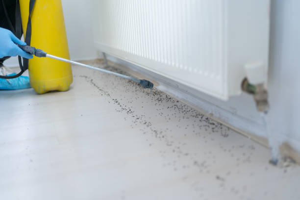 Best Best Pest Control Companies  in Williamston, NC