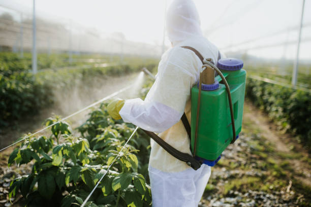 Best Rat Extermination Near Me  in Williamston, NC